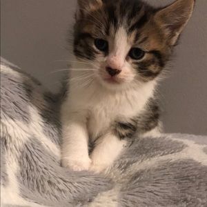 Meet your Posher, Deborah